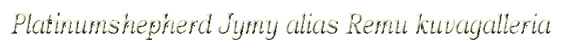 Galleria_Jymy (7K)