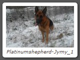 Platinumshepherd-Jymy_1