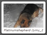Platinumshepherd-Jymy_2