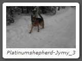 Platinumshepherd-Jymy_3