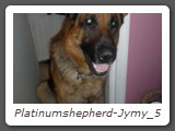 Platinumshepherd-Jymy_5