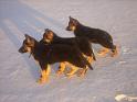 Tammikuu-2008-045
