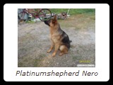Neron kuvagalleriaan