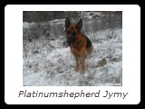 Jymyn kuvagalleriaan