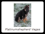 Vegasin kuvagalleriaan