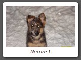 Nemo-1
