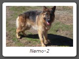 Nemo-2
