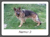 Nemo-3