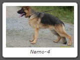 Nemo-4