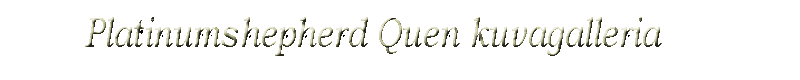 Galleria_Quen (5K)