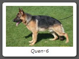 Quen-6