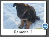 Ramona-1