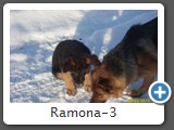 Ramona-3