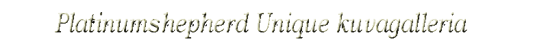 Galleria_Unique (6K)