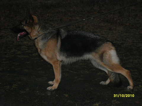 FIN45277/08, syntynyt 3.5.2008